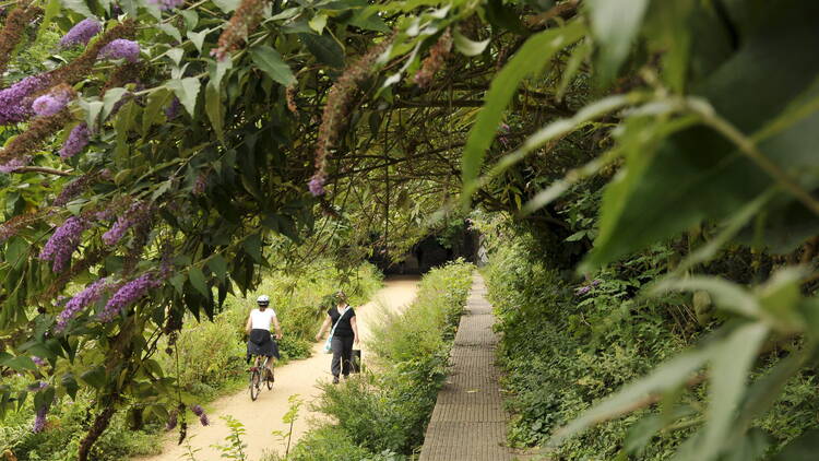 Take on the Parkland Walk