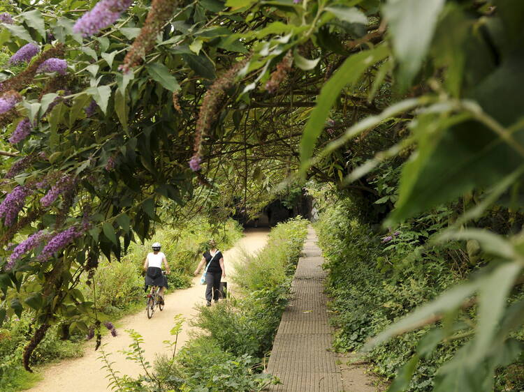 Take on the Parkland Walk