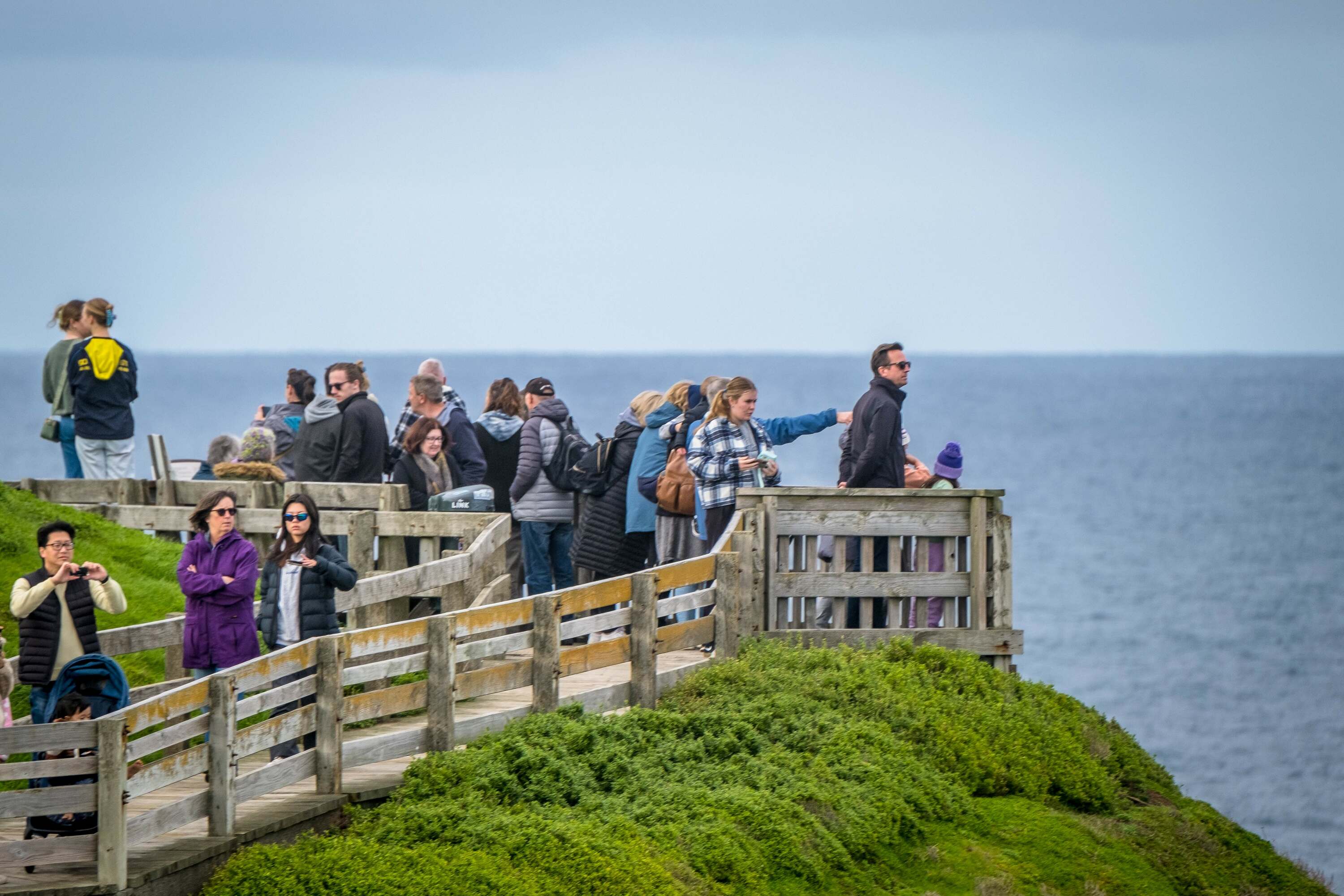 More than 100 free family-friendly activities are taking place along Victoria's coastline this summer
