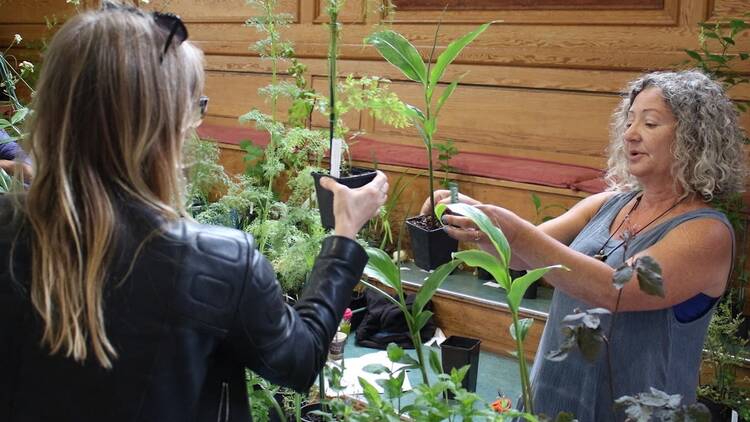 Flex your green fingers at the London Permaculture Festival