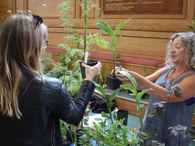 Flex your green fingers at the London Permaculture Festival