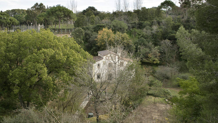 Jardí Botànic Històric de Barcelona