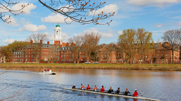 Harvard University