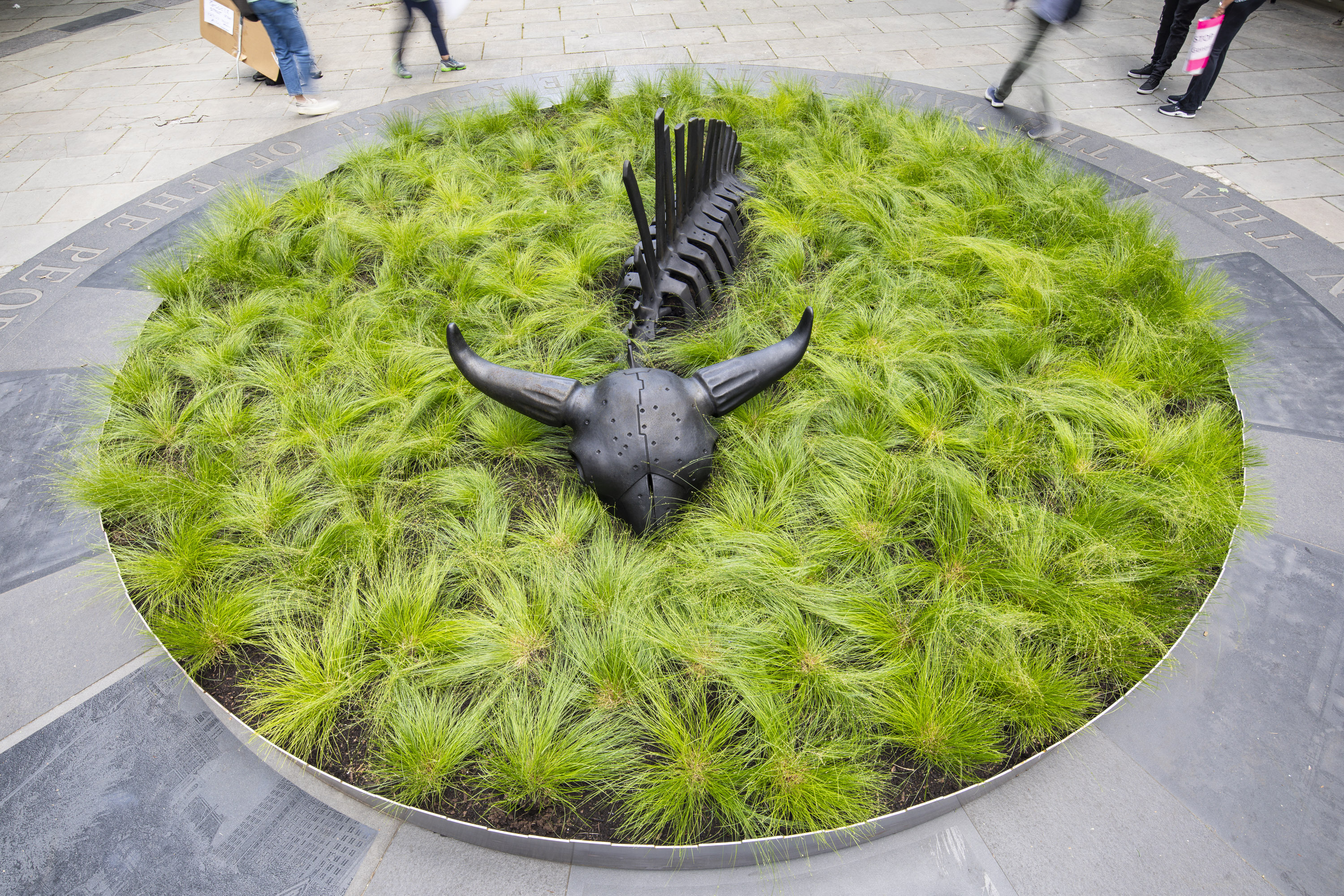 A close-up view of a bison sculpture nestled in green grasses.