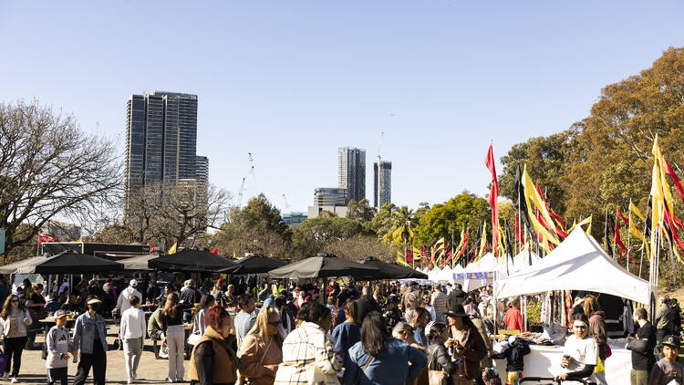 NAIDOC Festival in a park