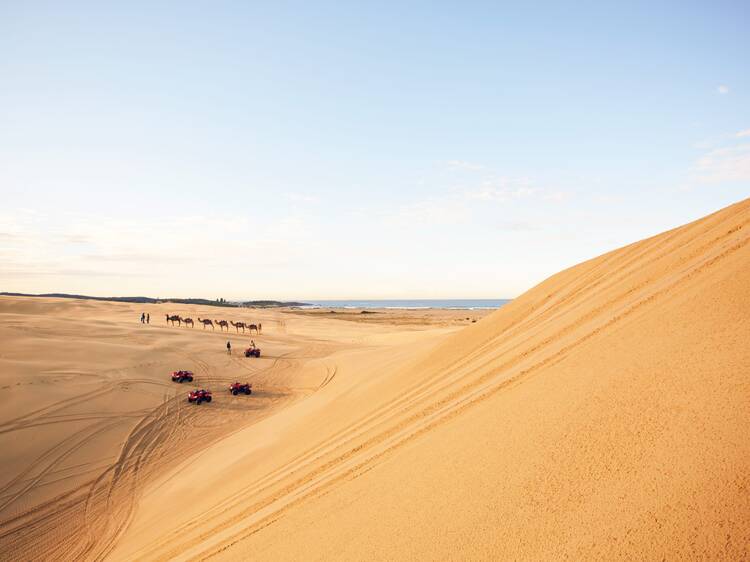 The Stockton Sand Dunes