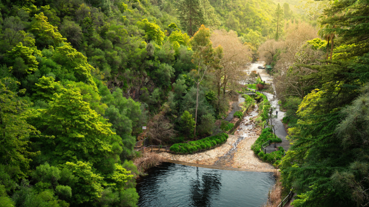 Waterfall Gully to Mount Lofty