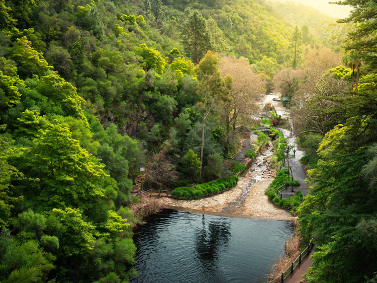 Waterfall Gully to Mount Lofty