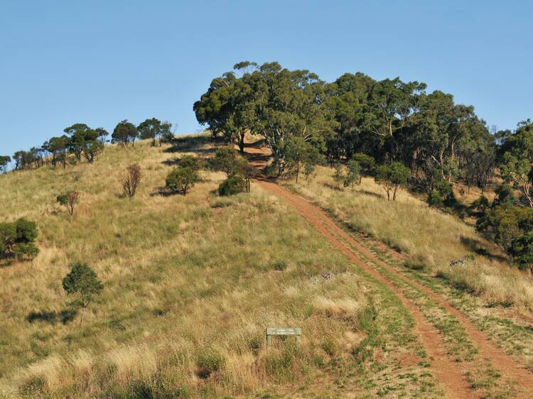 Black Hill Summit Track