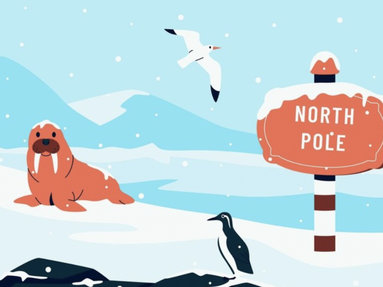 Virtual Escape Room: Expedition to the North Pole