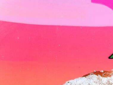 The best donuts in Miami The best donuts in Miami