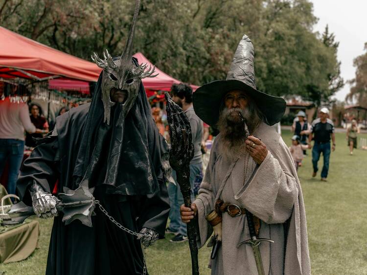 Celebra la 3a edición del Festival La Comarca