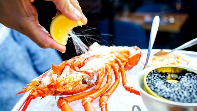 Savor the best lobster dishes