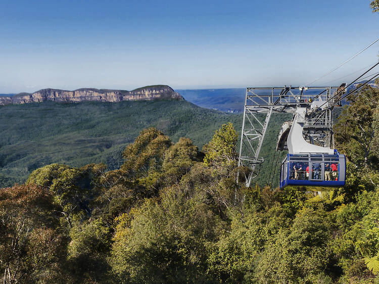 Scenic World