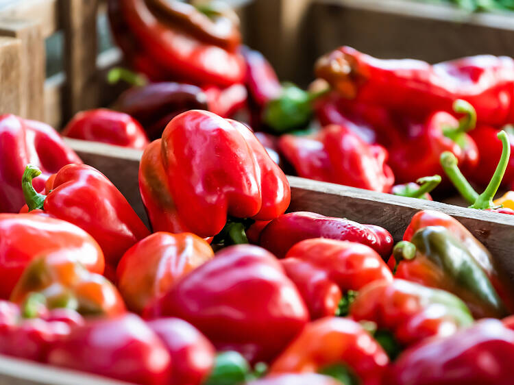 Islington Farmers Market