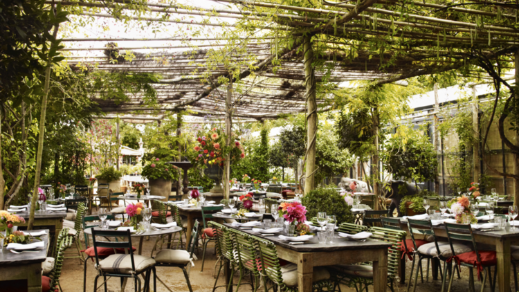 Petersham Nurseries