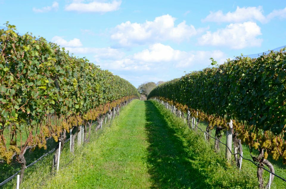 New York is home to one of America’s most Instagrammed vineyards