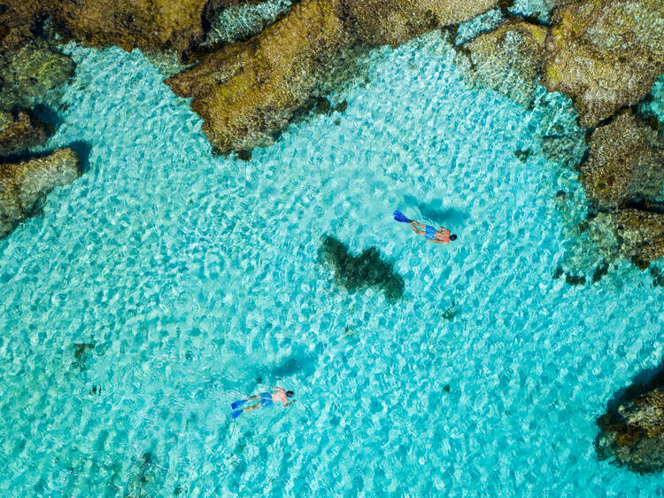 Wadjemup (Rottnest Island), WA