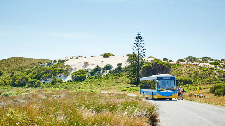 Jump aboard a Quokka Coach