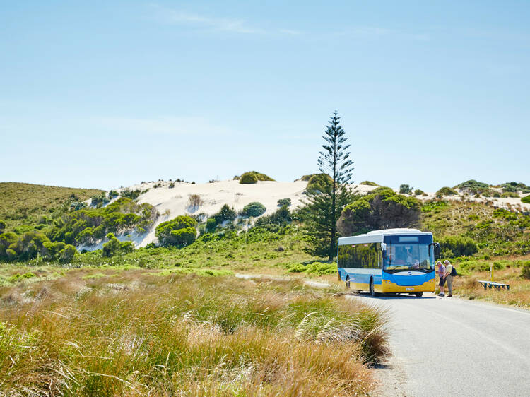 Jump aboard a Quokka Coach