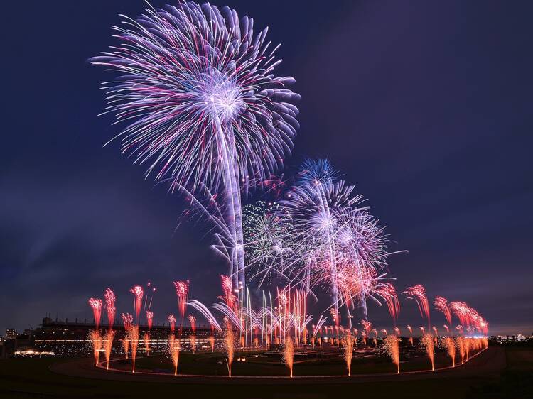 「東京競馬場花火 2025」でしか体験できない3のこと