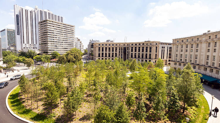 Forêt Catalogne