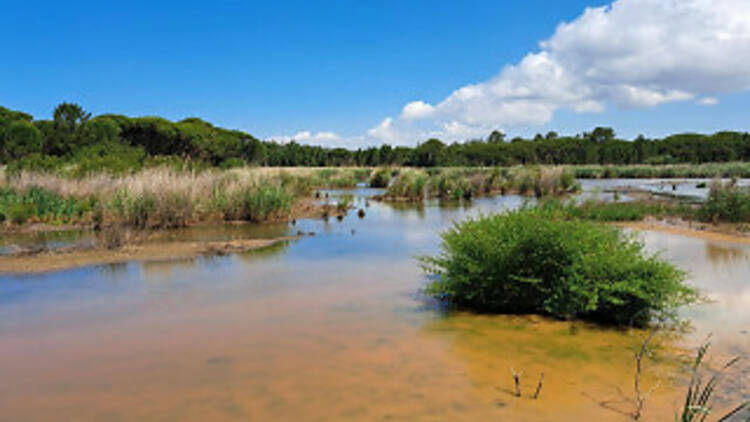 Lagoa de Albufeira