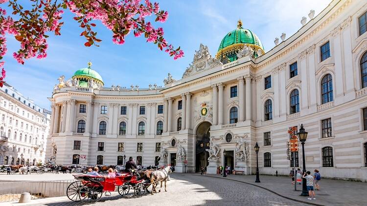 Hofburg Palace on a sunny day with cherry blossom tree, Vienna, Austria
