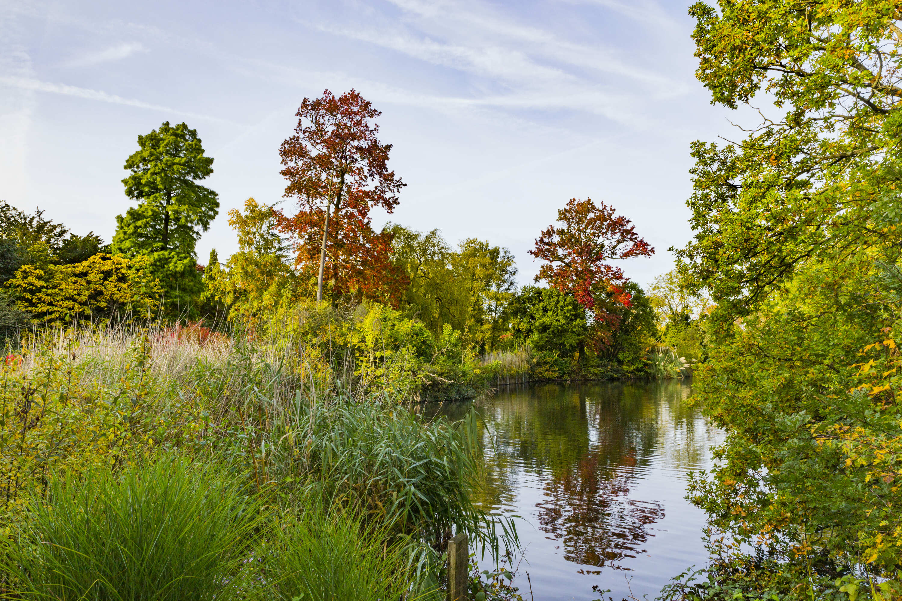 This running route’s been named London's most picturesque