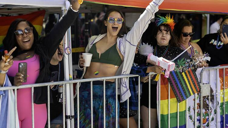 Chicago Pride Fest Chicago Pride Fest