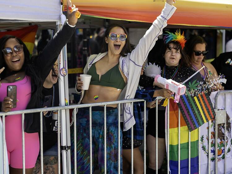 Chicago Pride Fest Chicago Pride Fest