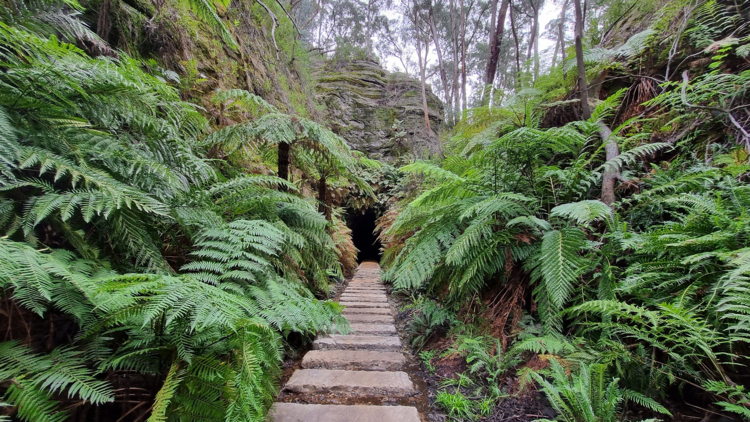 glow worm tunnel