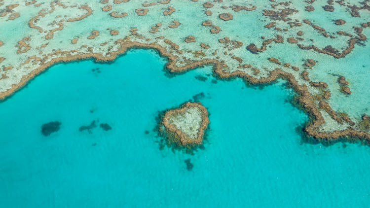 Marvel at Heart Reef from the skies
