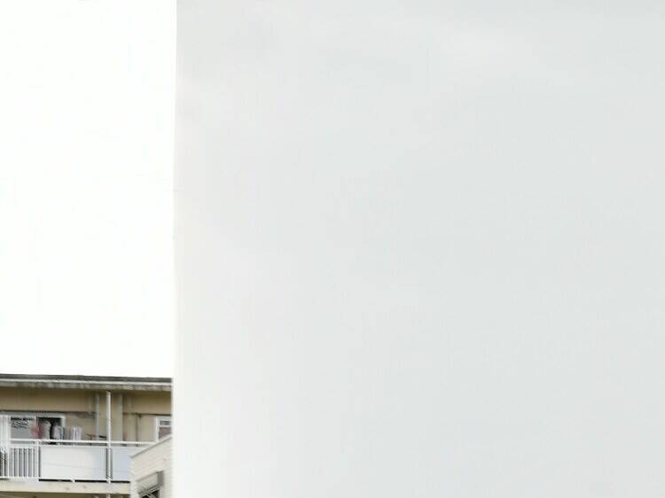 Step into the world of Yayoi Kusama