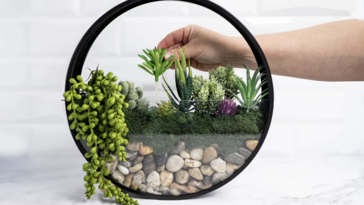 Modern Wall Terrarium