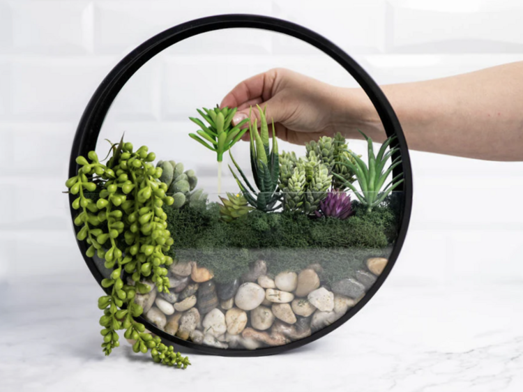 Modern Wall Terrarium