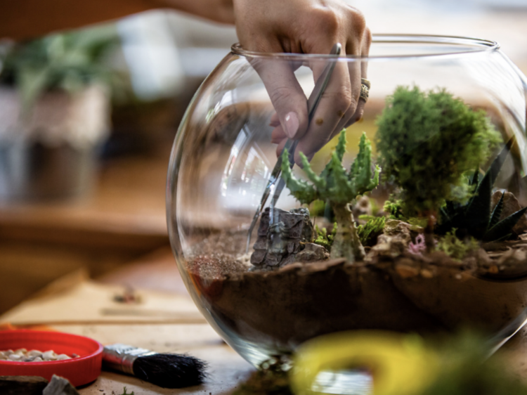 Terrarium & Sip Party