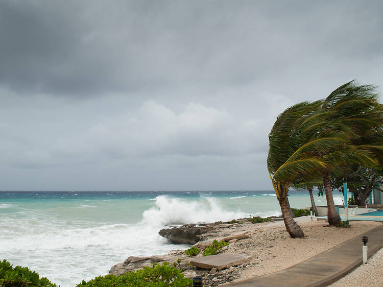 Is it safe to travel to the Caribbean right now? Latest advice amid Hurricane Beryl flight cancellations