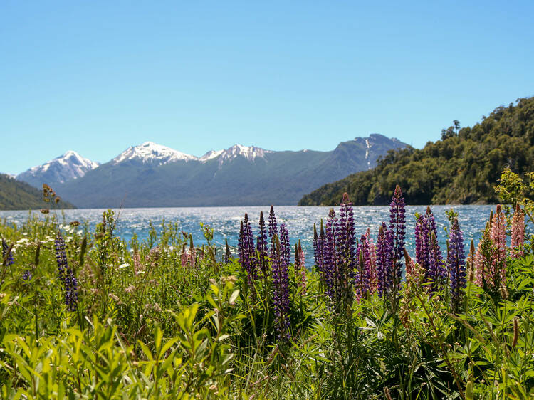 30 imperdibles en la Patagonia Argentina