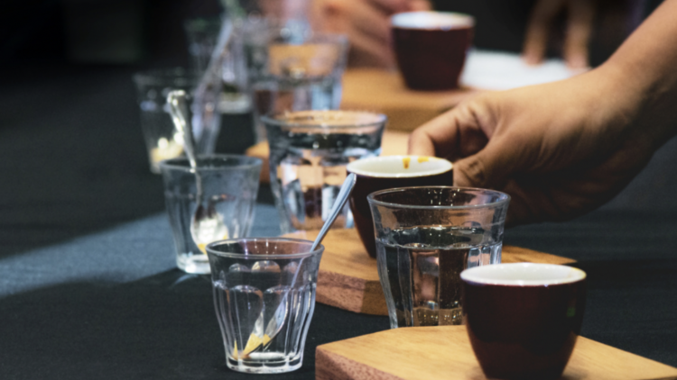 Group Coffee Tasting Event