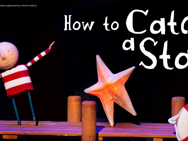 How to Catch a Star