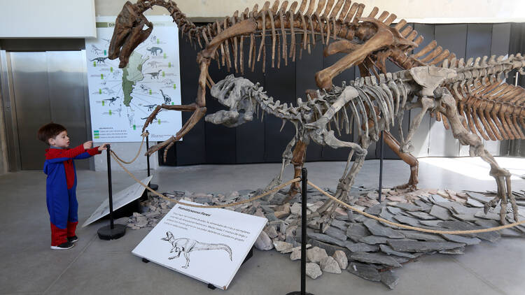 Lorenzo Scaglia Municipal Natural Sciences Museum