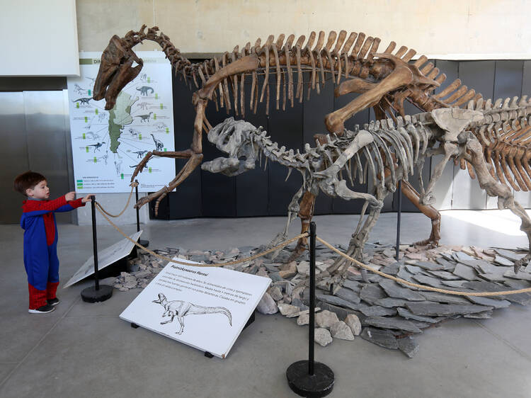 Lorenzo Scaglia Municipal Natural Sciences Museum