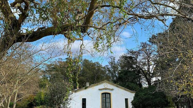 Las Dos Marías Farm