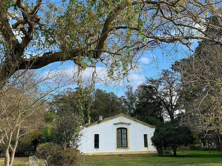 Las Dos Marías Farm