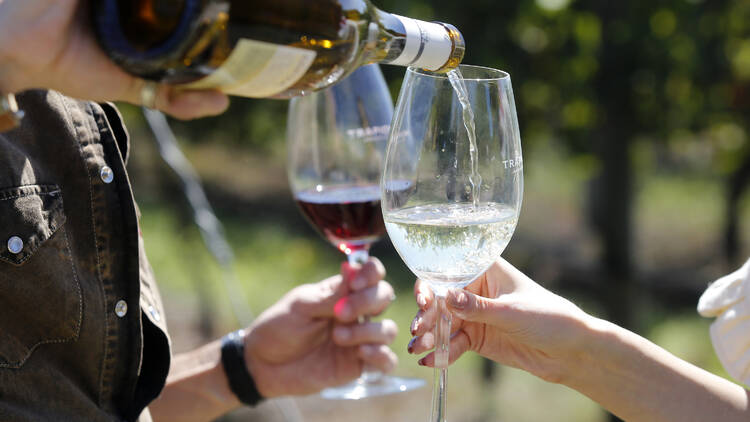 Trapiche Costa y Pampa Winery