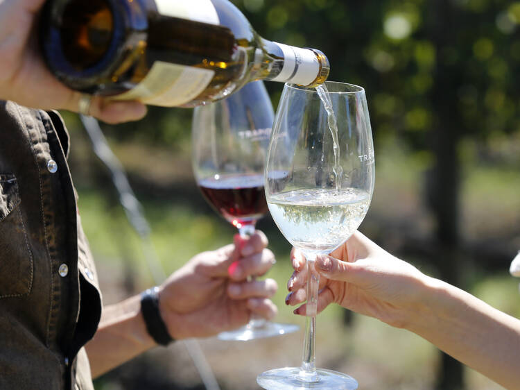 Trapiche Costa y Pampa Winery