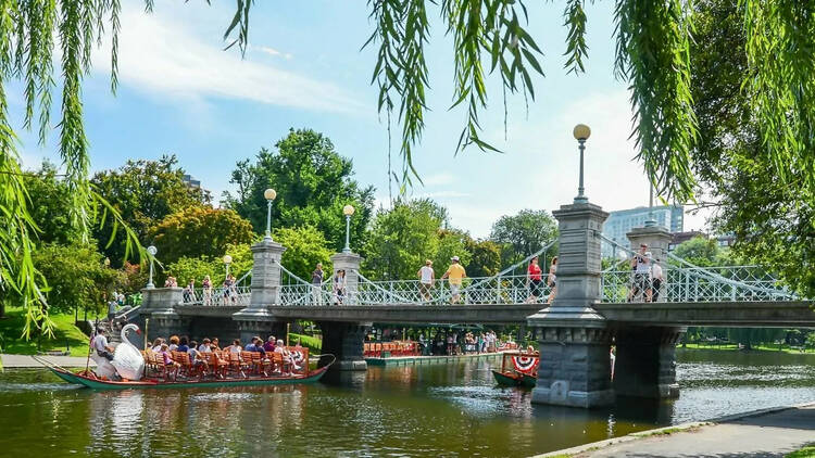 Swan Boat in the Boston Public Garden