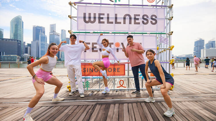 Wellness Festival