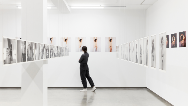 Julie Rrap: Past Continuous at the MCA